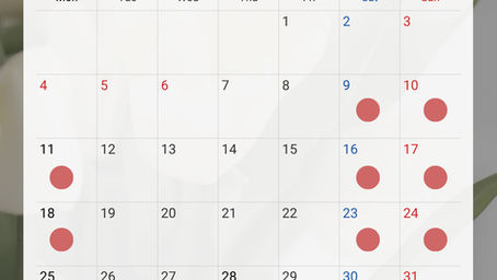 5月のレッスン予定日