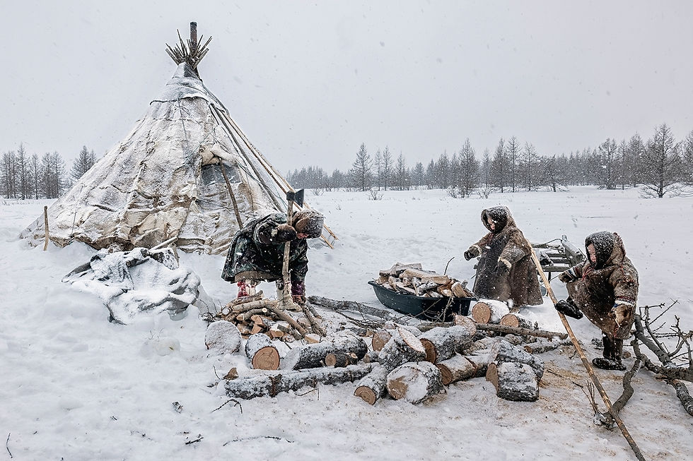Nenet Life 25.17 - Eugenio Fieni - Italy
