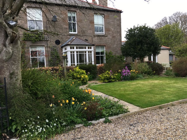 SB- Front garden 25 Apr