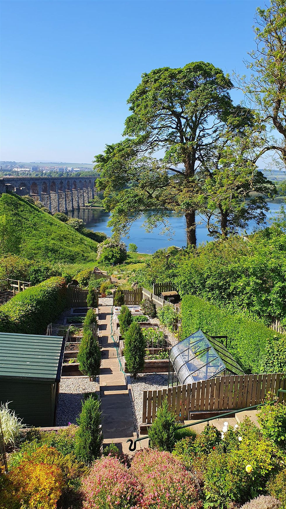 VP Veg garden view