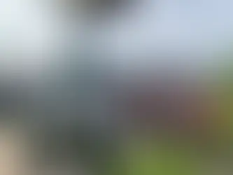 The Long Road to Learning