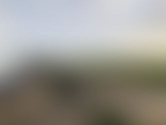 Autorenleben in Zeiten von COVID-19    