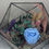 Thumbnail: Blue Forest (Preserved Flower Terrarium Hexagon)