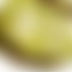 Green Medley Tarte Vegan und nicht Vegan