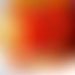 Chiroee Zucchini Lasagne