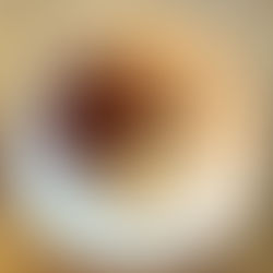 Knödel mit Rahmchampignons veganen Bacon und Rotkohl