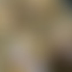 Low Carb Flammkuchen