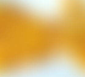 Zucchini - Karotten-Puffer