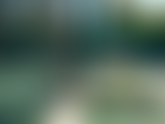 Top Wilson Tennis Racquets for Players - Wilson Racquet Selection Tips