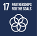 SDG-17.png