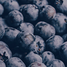 fresh blueberries