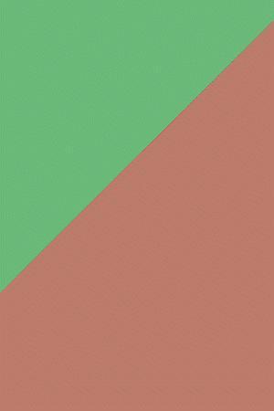 MM-WEB-PSJ-300X450.gif