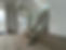 IMG_7614.JPEG