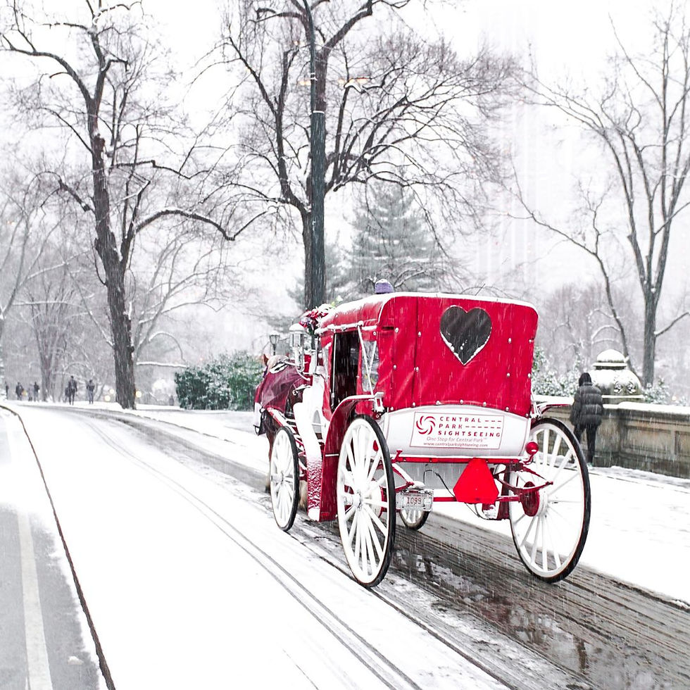 Winter wedding Carriage  