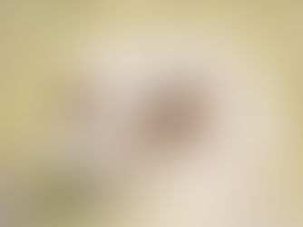 Armonie & Nyasani's Wedding