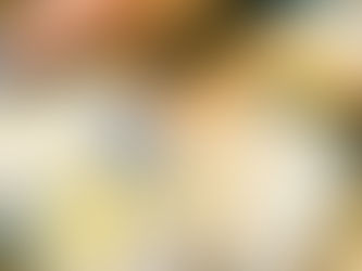 Energievertrieb mit Fokus auf Provision und Einkommensplanung