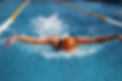 Schwimmclub Delfinschwimmerin.jpg