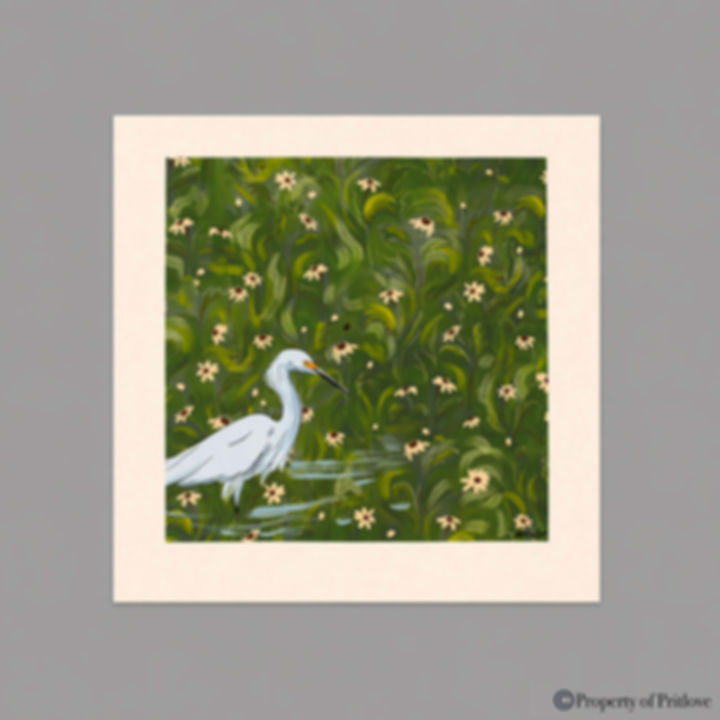 Egret Among Daisies