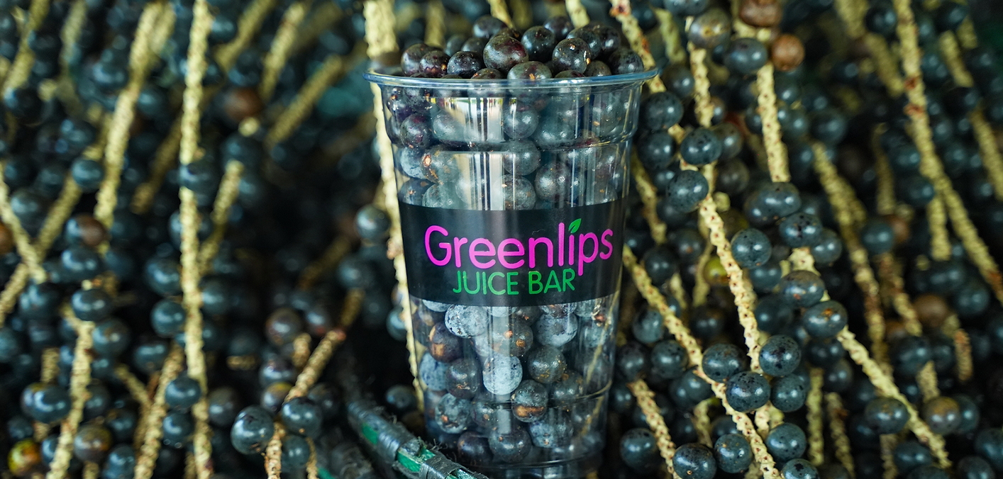 lmlm (2160 x 1080 px) 2.PNG