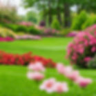 beautiful manicured lawn with flowers.jpg
