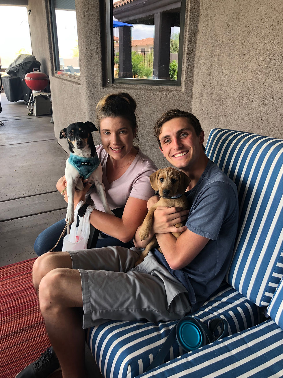 Joey adopted@
