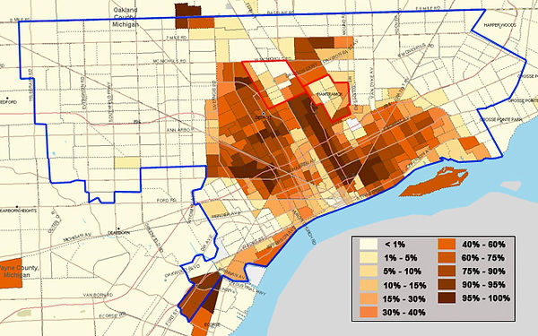 MAPPING RACE IN DETROIT | detroit-health