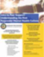 Introduction to Peer Support Training