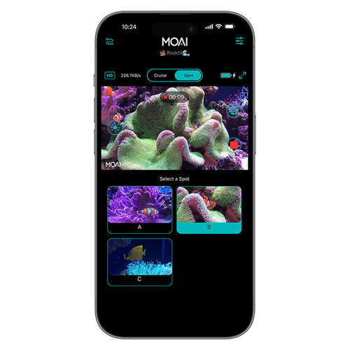 MOAI | Store