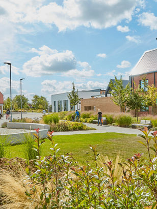 New Homes Give Buyers the Power to Move into Nature-Positive Communities says leading ecology consultancy Arbtech