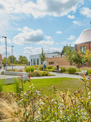 New Homes Give Buyers the Power to Move into Nature-Positive Communities says leading ecology consultancy Arbtech