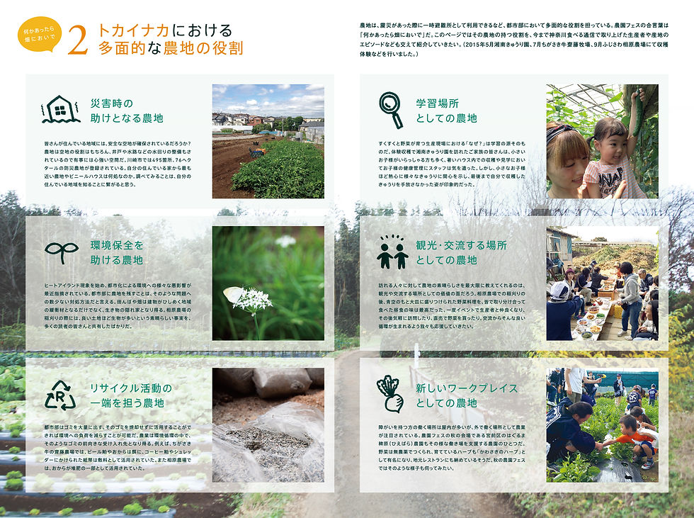 万福寺人参 2016.1(川崎)