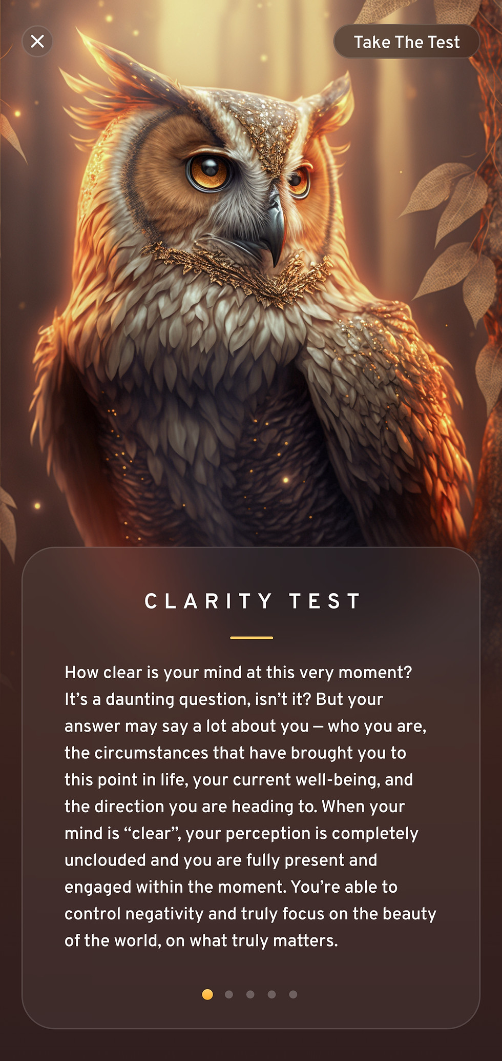 Clarity Test - Introduction - 1.jpg