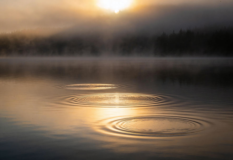 freepik__photorealistic-calm-lake-at-sun