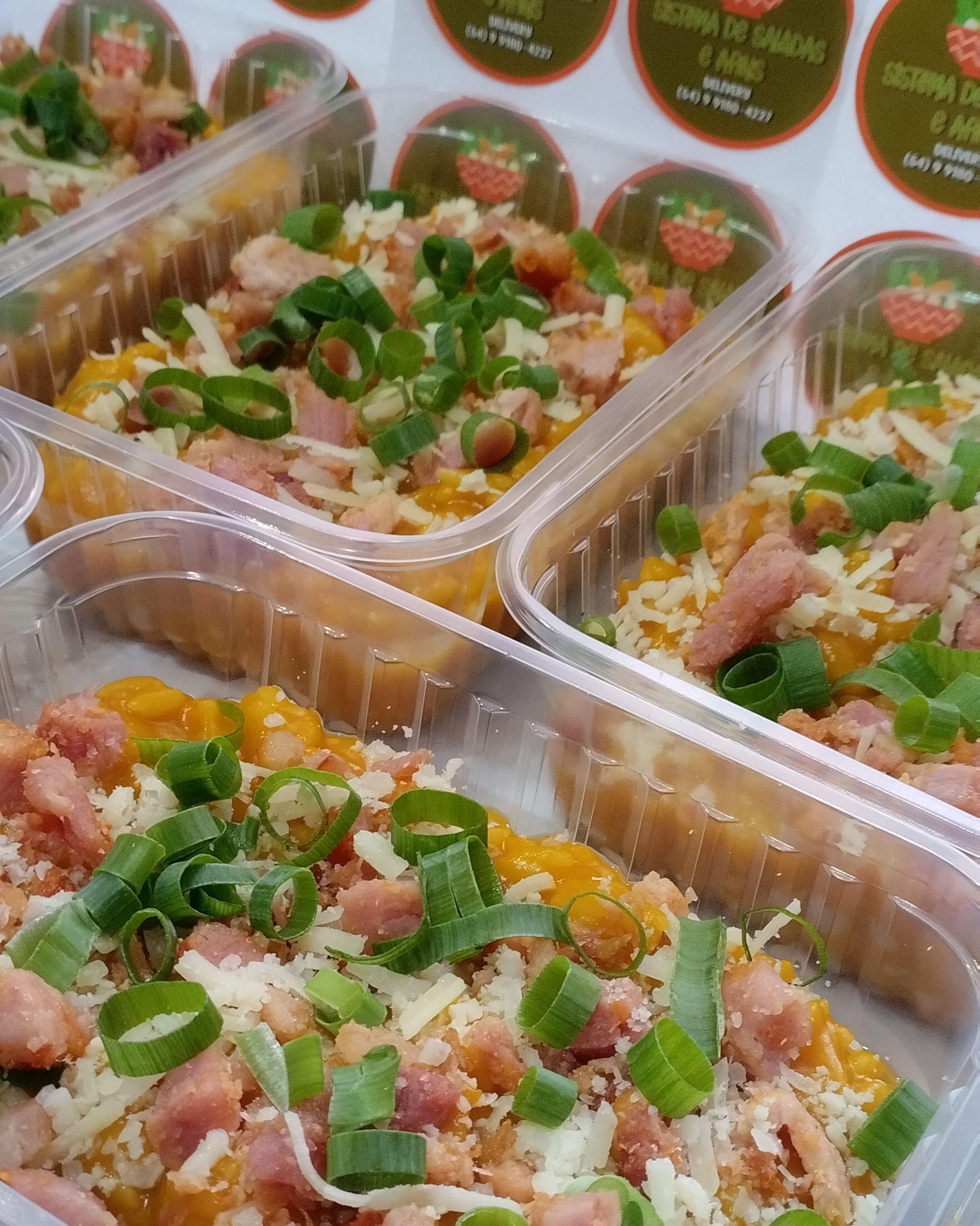 Marmitas Fit