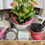 Thumbnail: Flowers and Treats for Her Gift Basket