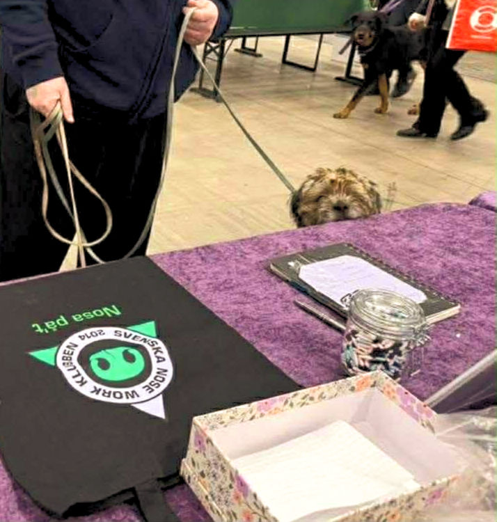 foto: Marie Holmgren