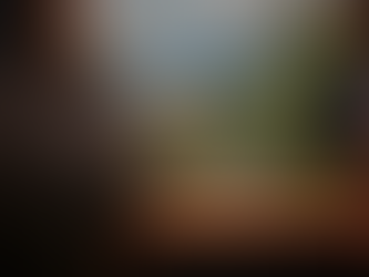 The Creator-Collector:                         Celebrating Cape May's Local Arts