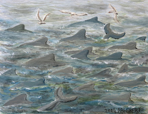 A school of fish is represented by dark marks under the water, with dolphins speeding after them, their dorsal fins roughing up the water in their wake.  A few seagulls are flying overhead, waiting to see if a fish or part of a fish can be grabbed for them to eat.