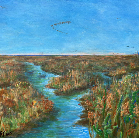 Waterfowl migration over ponds at Cape May Point