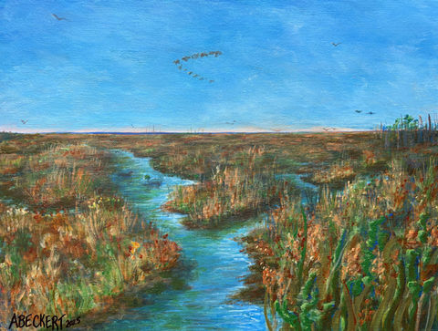 Waterfowl migration over ponds at Cape May Point