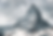 Untitled design (40).png