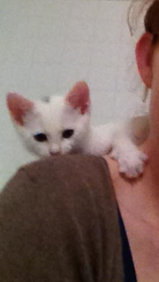 Melissa and Little Guy