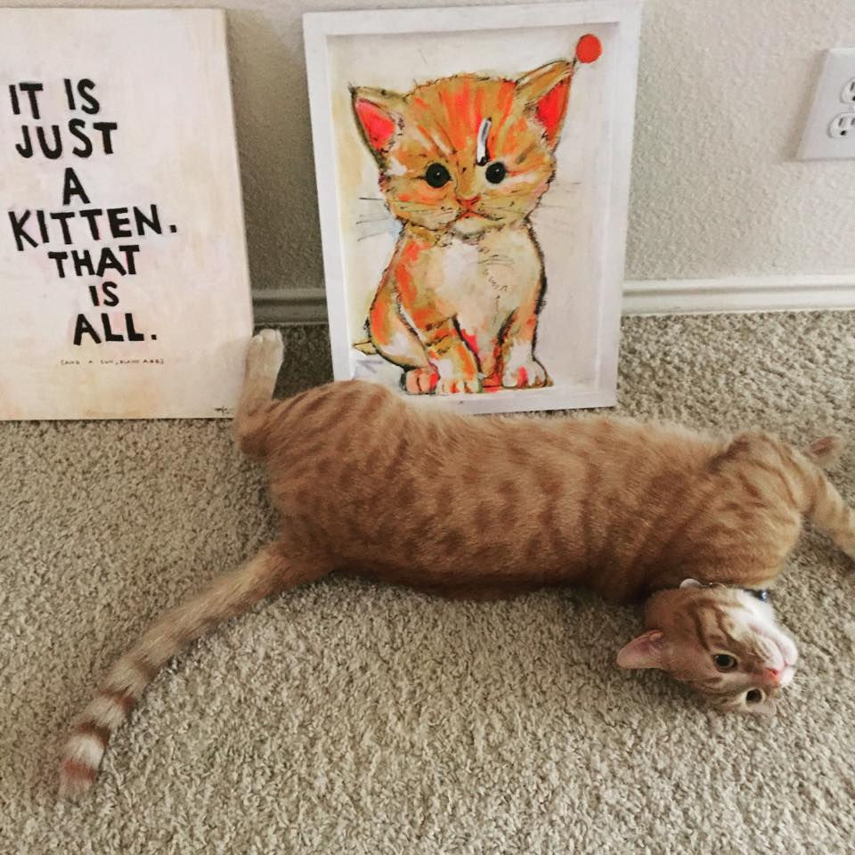 Hobbs with 'It's Just a Kitten'