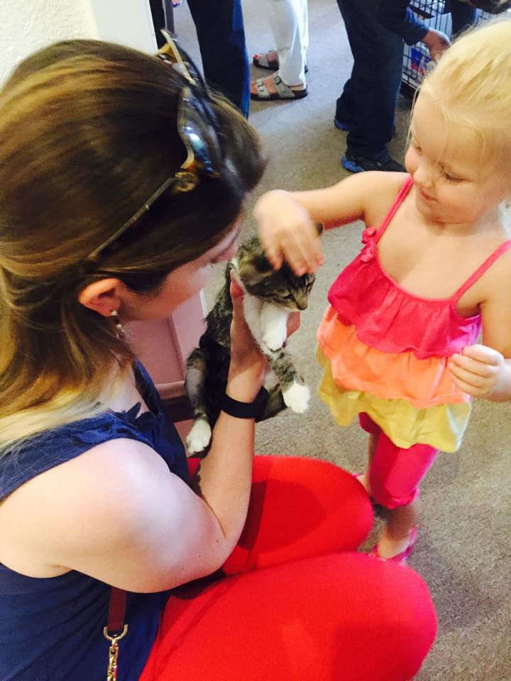 Ashley, kitten and little cute