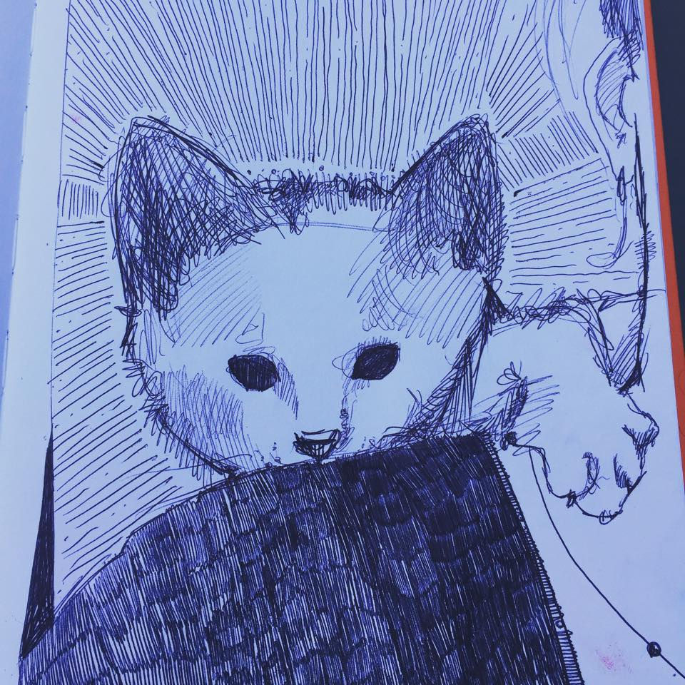 Melissa's Kitten