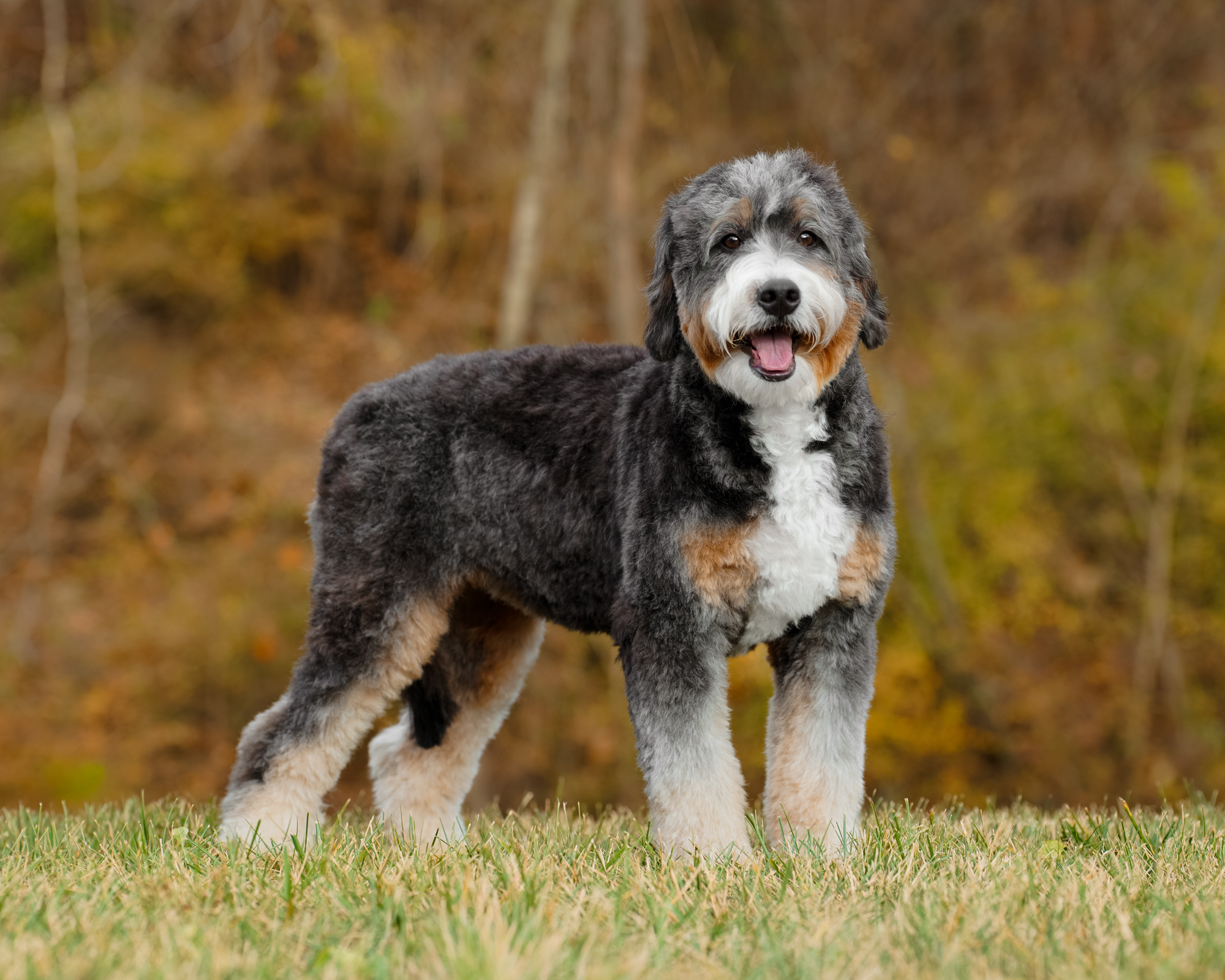 Mayzie, photo 5
