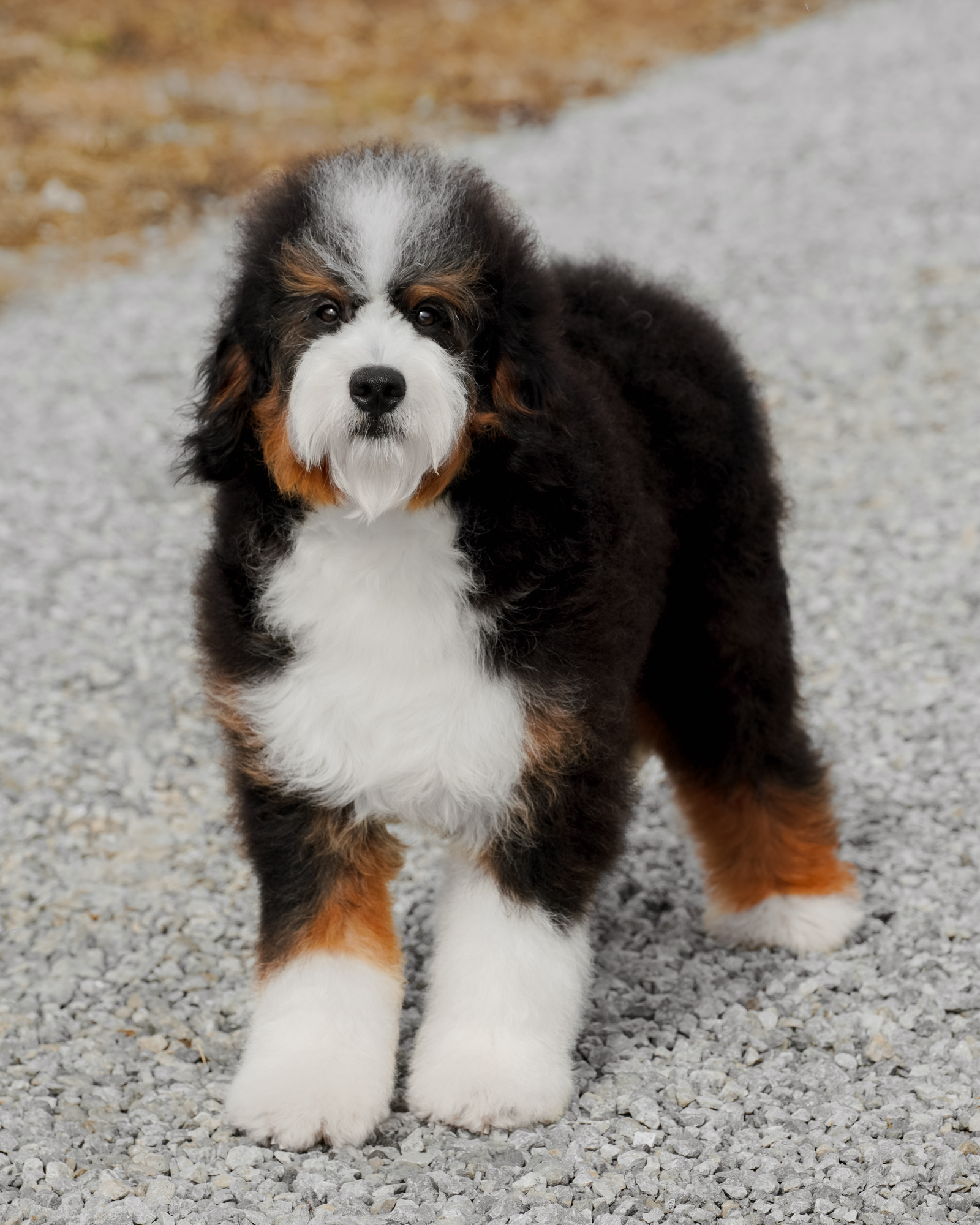 Winnie, photo 5
