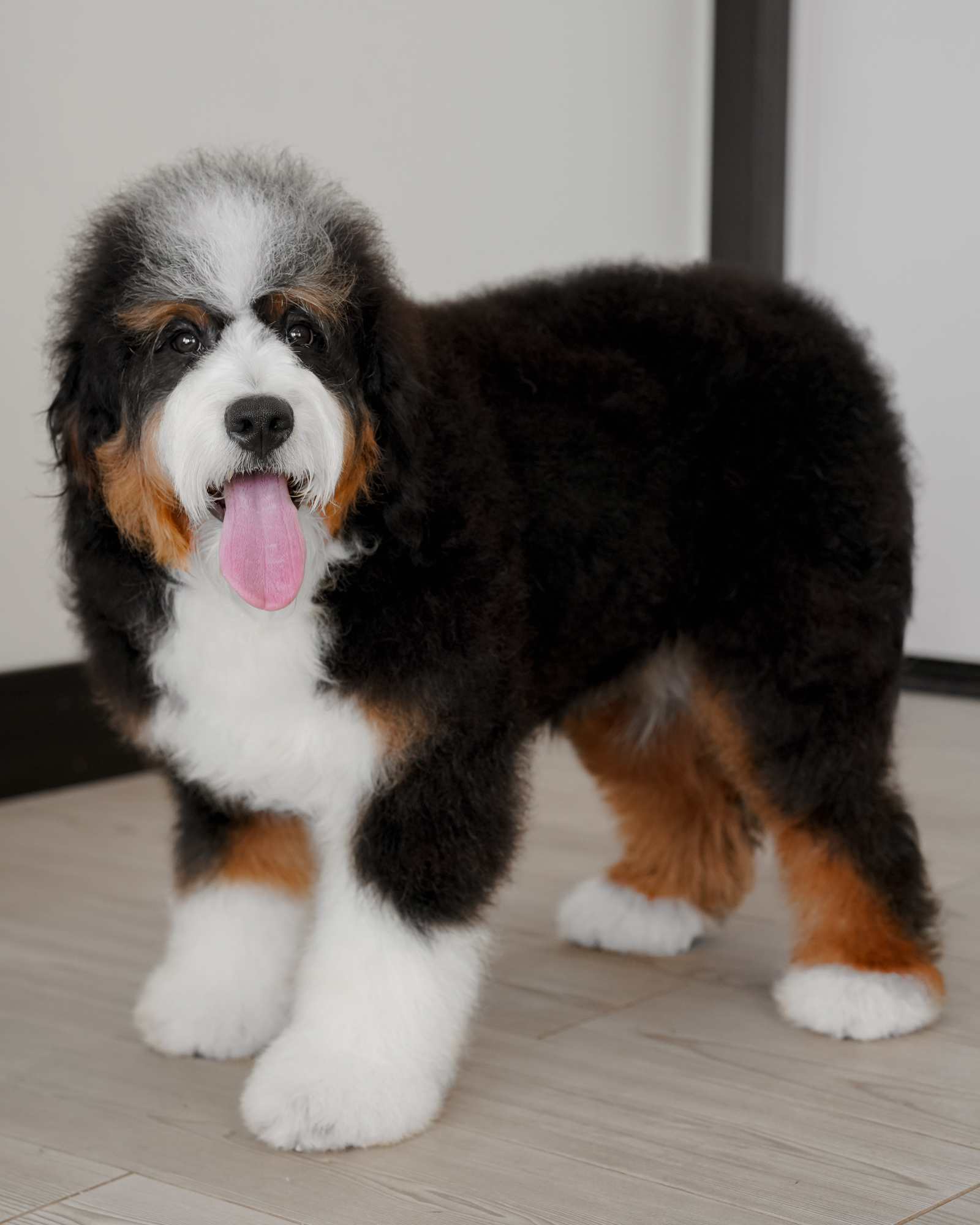 Winnie, photo 2