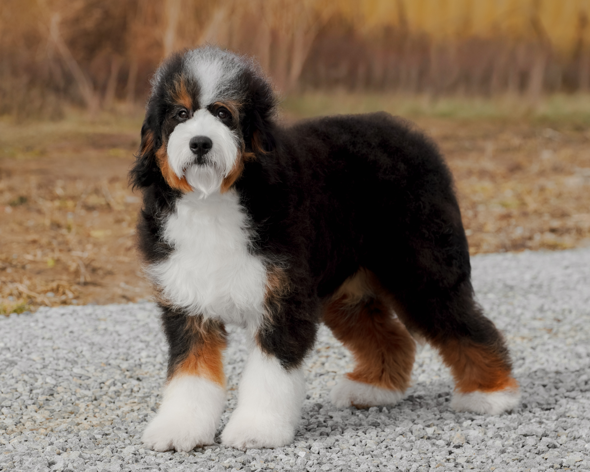 Winnie, photo 4