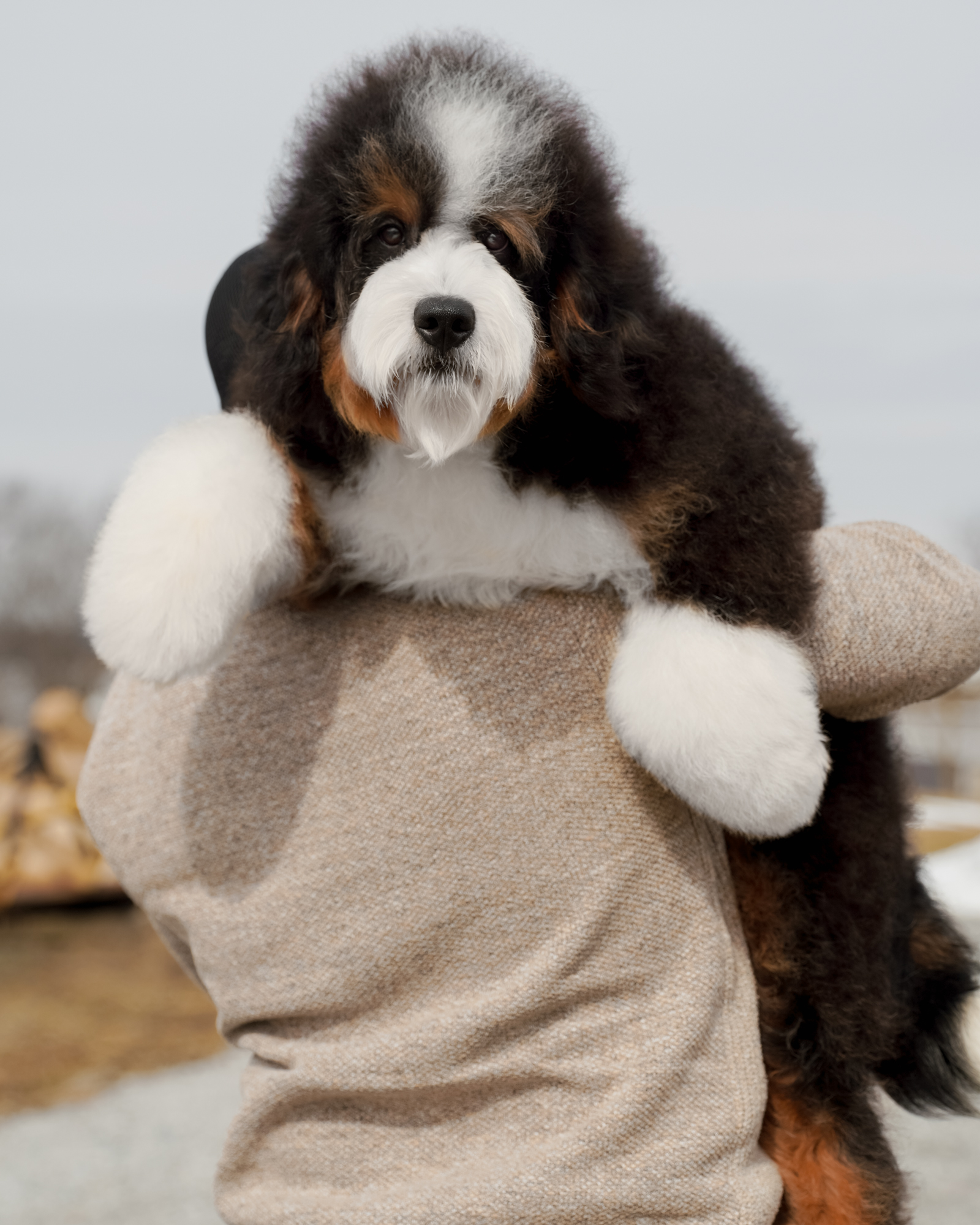 Winnie, photo 7